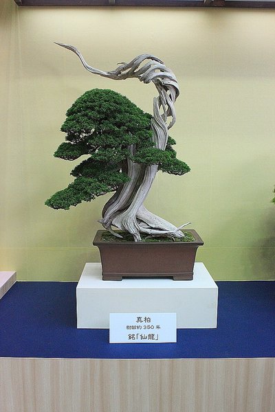025_WBC Ausstellung_a_f.jpg