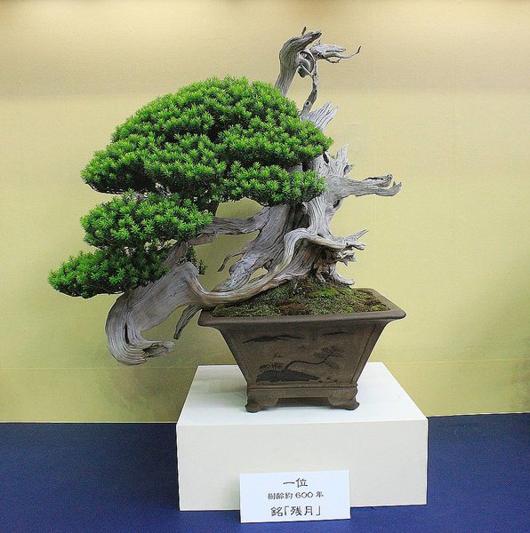 027_WBC Ausstellung_a_f.jpg