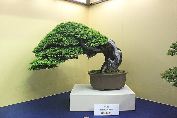 029_WBC Ausstellung_a_f.jpg