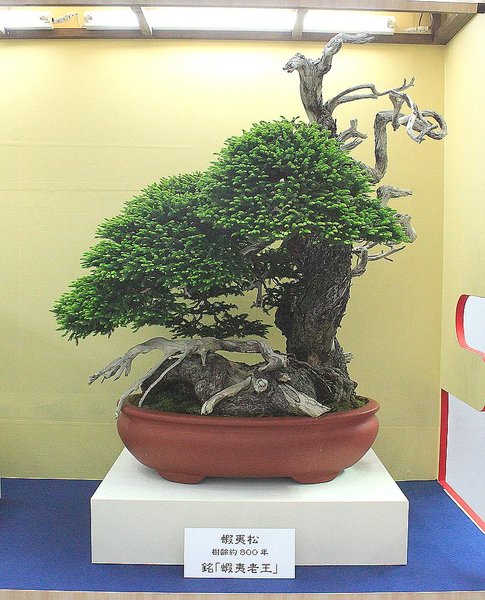 030_WBC Ausstellung_a_f.jpg