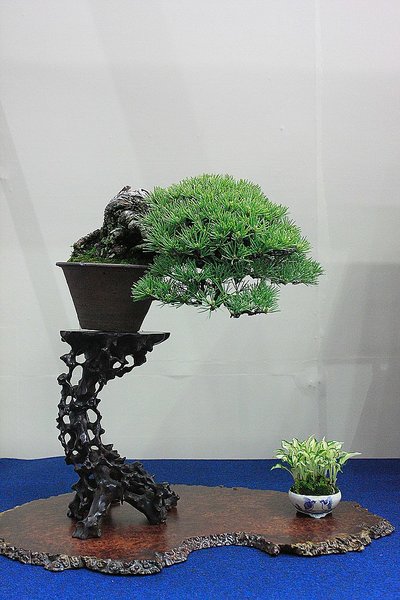032_WBC Ausstellung_a_f.jpg