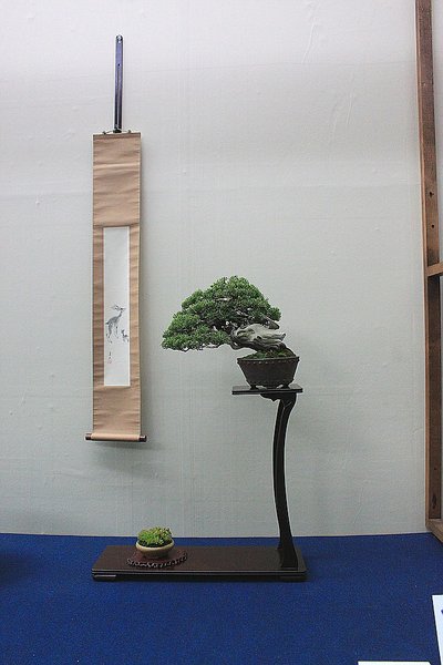 035_WBC Ausstellung_a_f.jpg