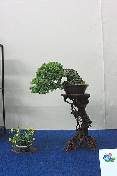 040_WBC Ausstellung_a_f.jpg