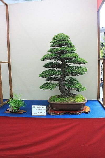 045_WBC Ausstellung_a_f.jpg