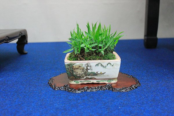 048_WBC Ausstellung_a_f.jpg