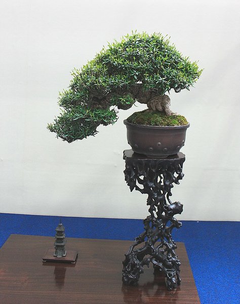 057_WBC Ausstellung_a_f.jpg