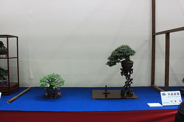 058_WBC Ausstellung_a_f.jpg