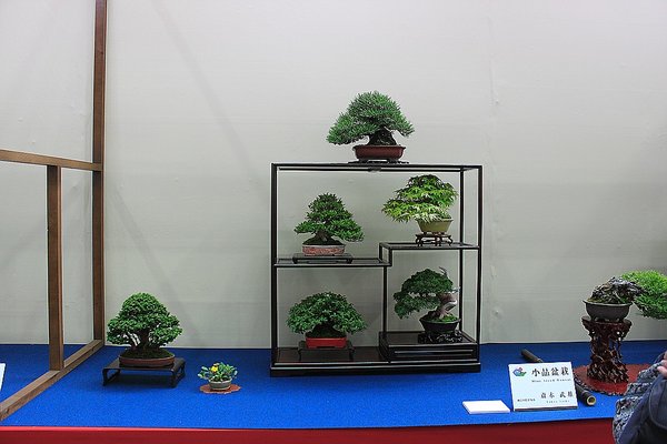 059_WBC Ausstellung_a_f.jpg