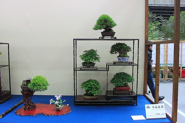 060_WBC Ausstellung_a_f.jpg