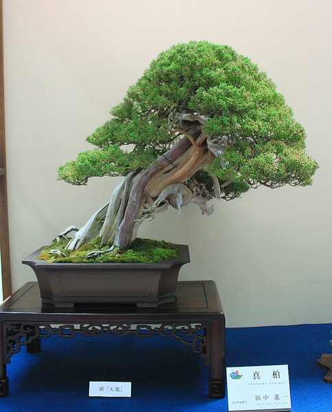 062_WBC Ausstellung_a_f.jpg