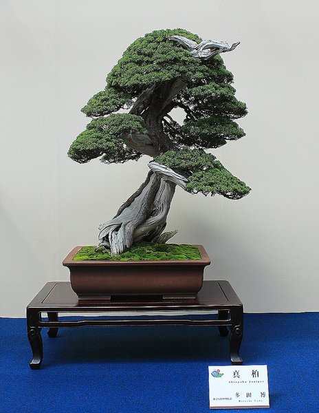 063_WBC Ausstellung_a_f.jpg