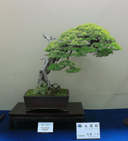 064_WBC Ausstellung_a_f.jpg