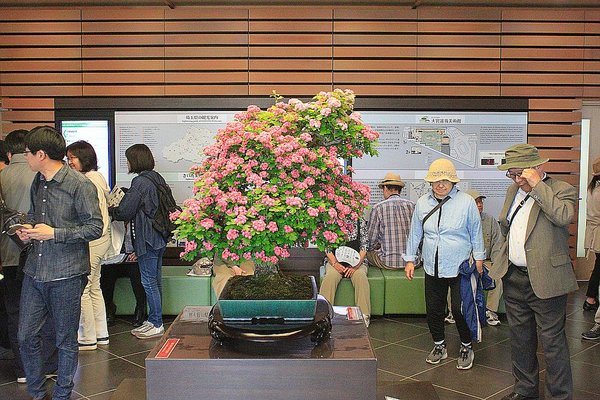 002_Omiya Bonsai Museum_a_f.jpg