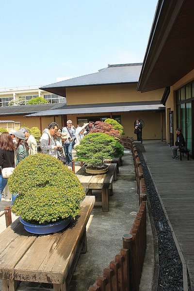 011_Omiya Bonsai Museum_a_f.jpg