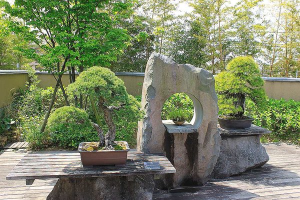 014_Omiya Bonsai Museum_a_f.jpg