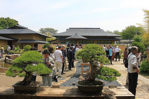 020_Omiya Bonsai Museum_a_f.jpg