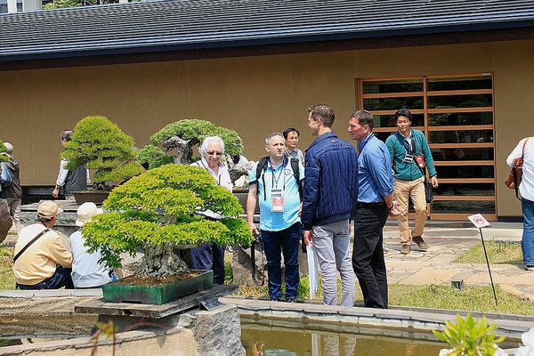 022_Omiya Bonsai Museum_a_f.jpg