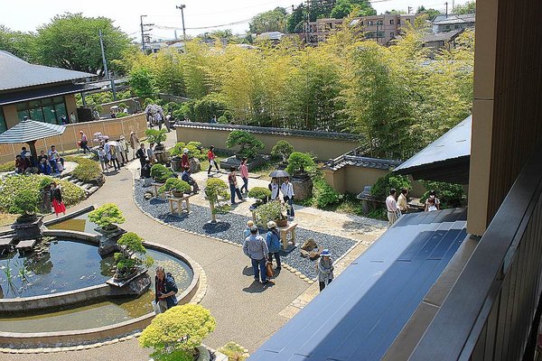 027_Omiya Bonsai Museum_a_f.jpg