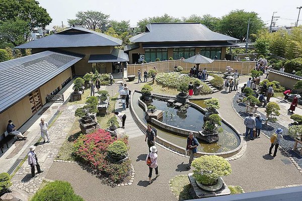 029a_Omiya Bonsai Museum_a_f.jpg