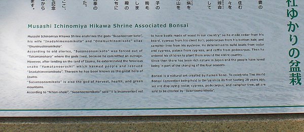 026_Hikawa Shrine_a1_f.jpg