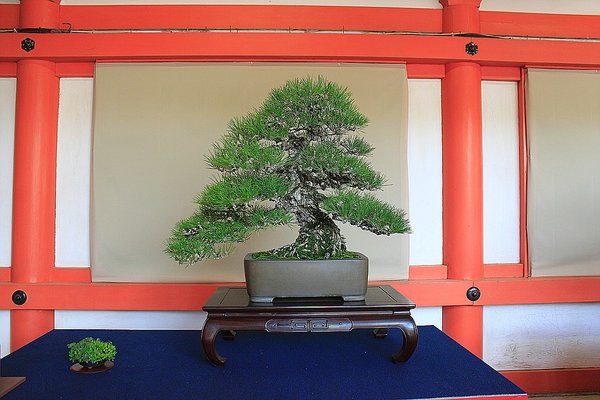 032_Hikawa Shrine_a_f.jpg