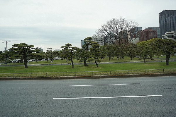 002_Tokyo_a_f.jpg