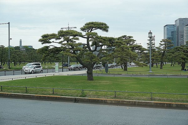 003_Tokyo_a_f.jpg