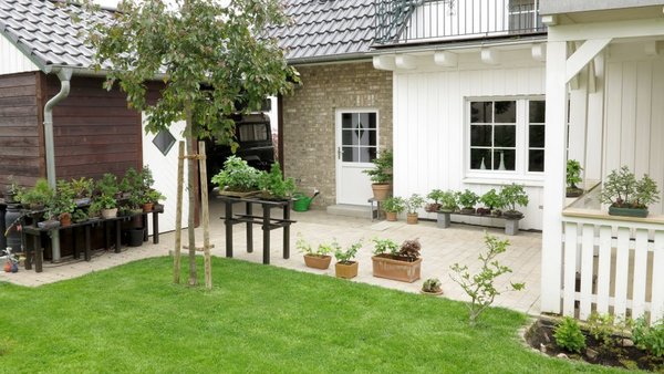 2017-05-18-bonsaiecke__.jpg