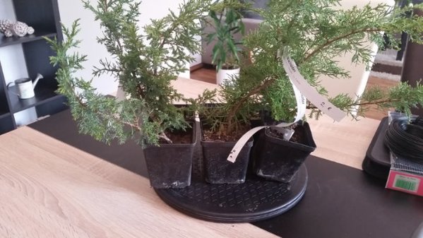 image-2017-06-02.jpg