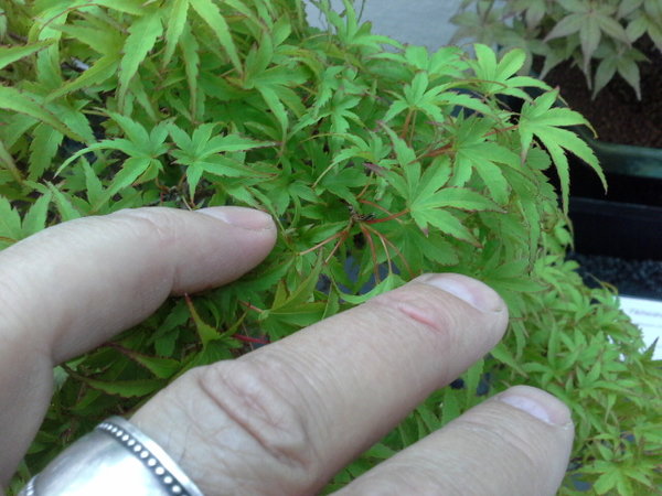 20170604_132533.jpg
