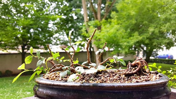 20170605_123424.jpg