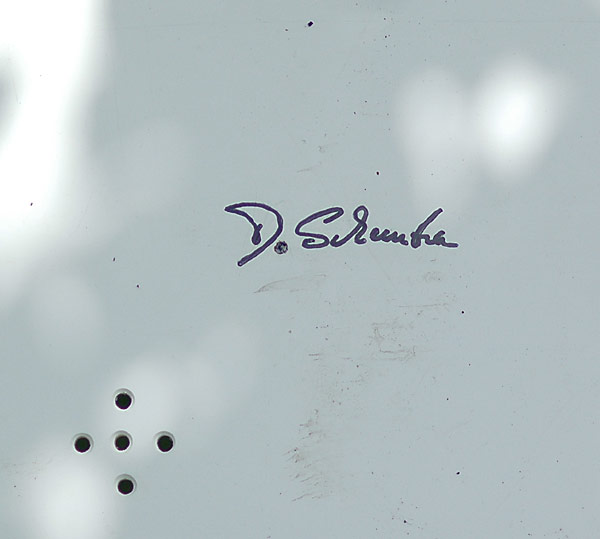 Dsc_4570v.jpg
