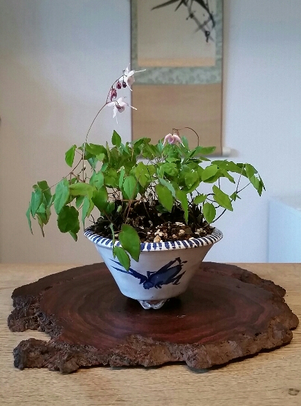 2017-06-22 08.54.59.jpg