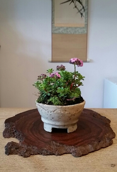 2017-06-22 08.54.05.jpg