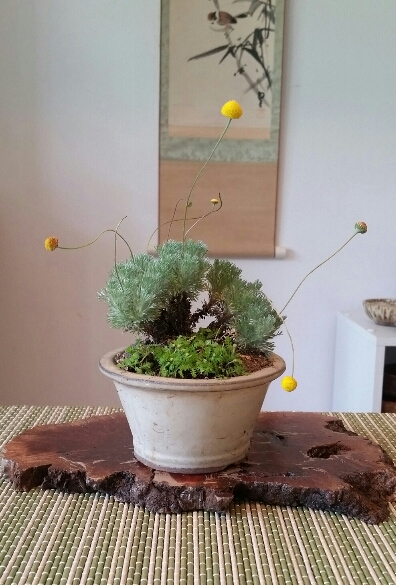 2017-06-22 08.48.35.jpg