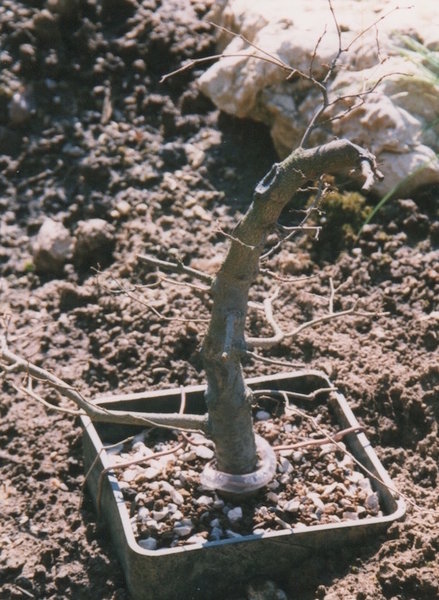 April 1998