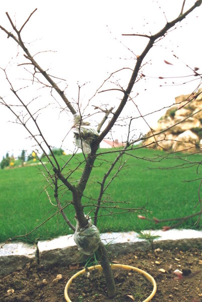 April 1994