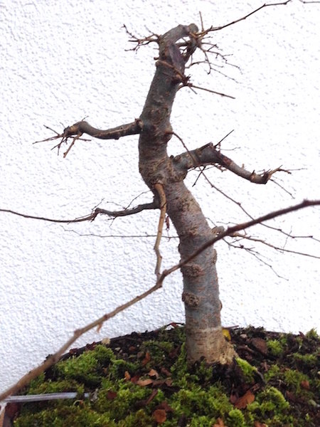 2014-12-05 - 2.jpg