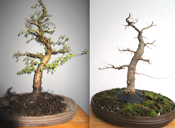 Vergleich 2012 und 2016