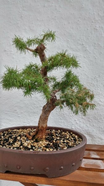 20170702_135238_HDR.jpg