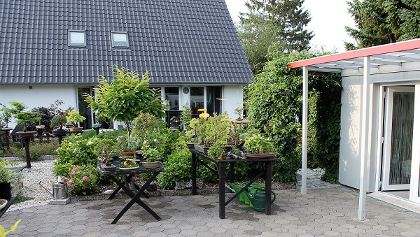 13.JPG