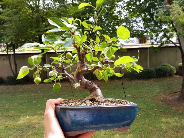 20170711_154245.jpg