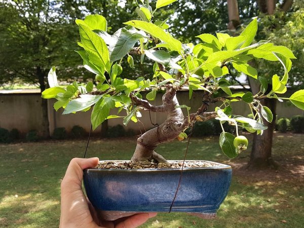 20170711_154319.jpg