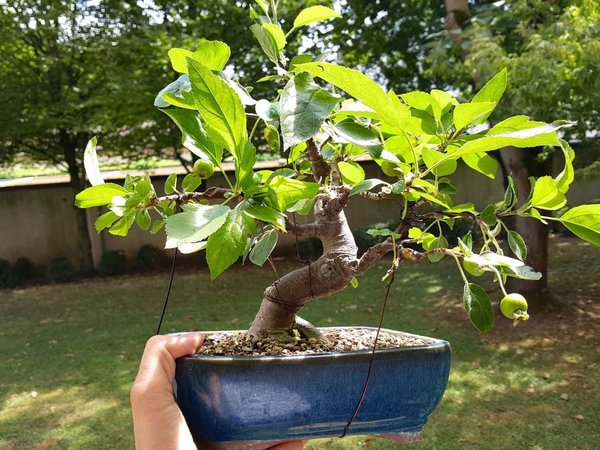 20170711_154322.jpg