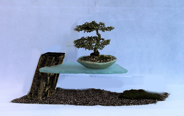 virtual von Bild 11