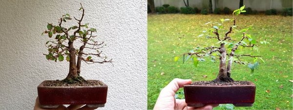 Vergleich November 2016 zu Juli 2017