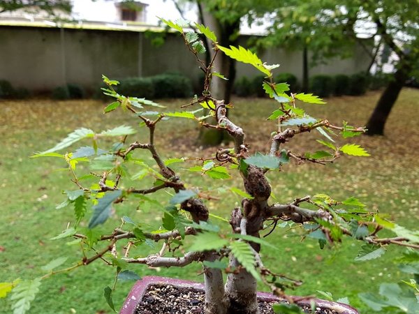 20170727_131812.jpg