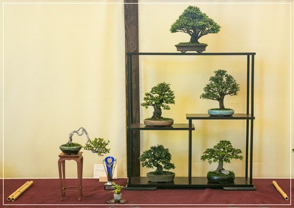 comp_Shohin_Display_W-N.jpg