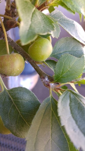 20170728_174549.jpg