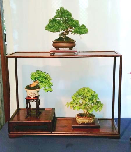 Display11.jpg